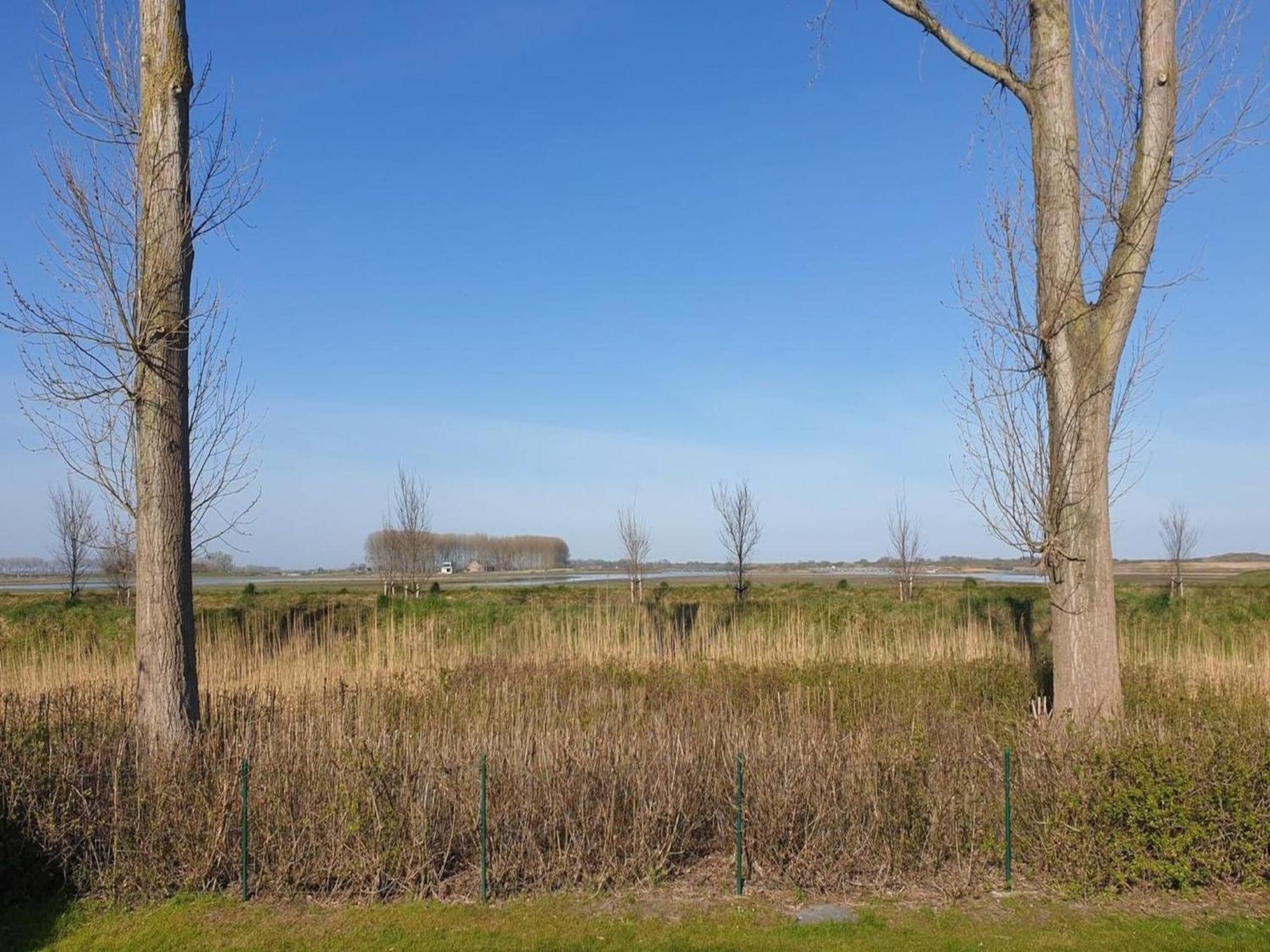 Schoneveld 176 Zeemeeuw Vakantiehuis Breskens